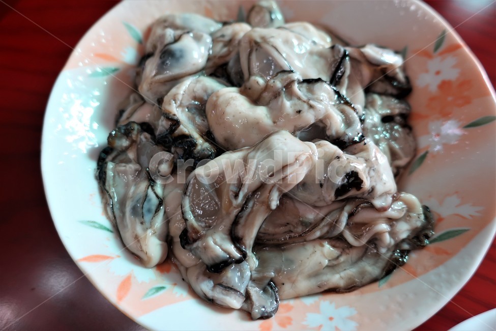 굴,회,해산물,생굴,음식,안주,날것,석화,제철,영양,식품,음식,식재료,요리,food,cook,meal,dishes,food reserves,수산물,해산물,fishery products,seafood