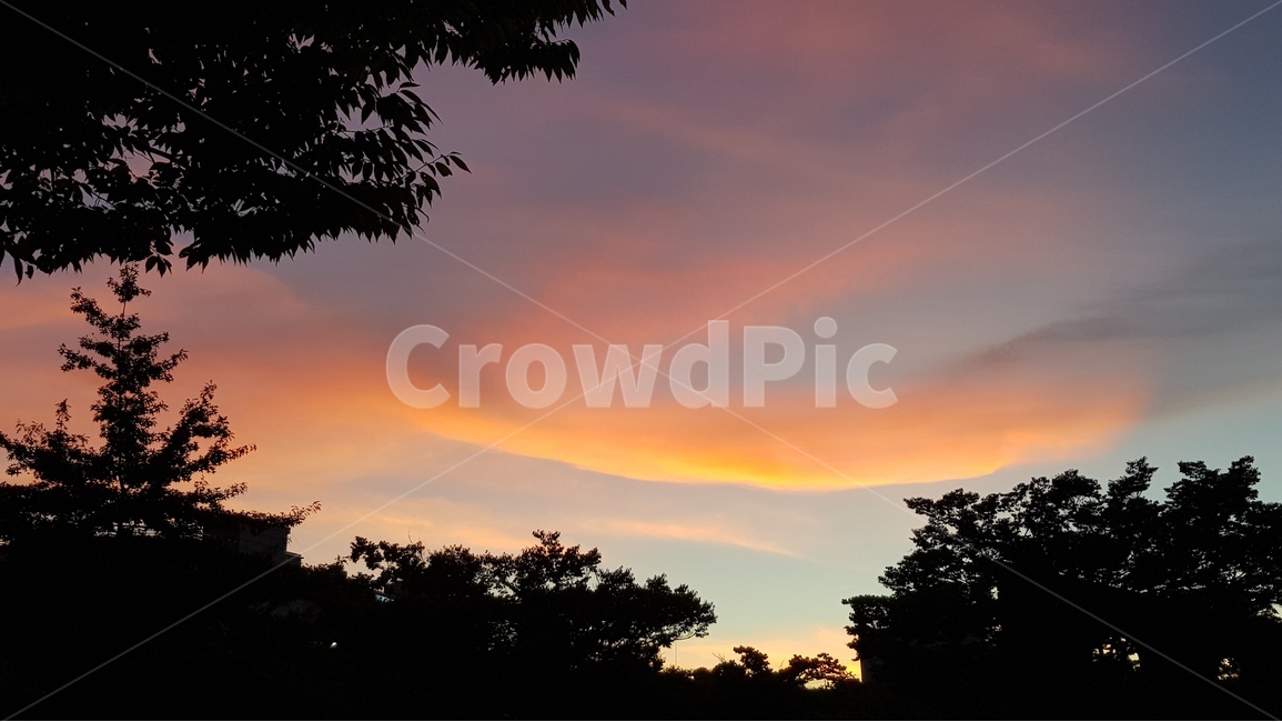노을,하늘,구름,나무,자연,풍경,자연,풍경,nature,landscape,outdoors,옥외,dawn,새벽,red sky,붉은 하늘,sunset,일몰,sky,dusk,황혼,sunlight,햇빛