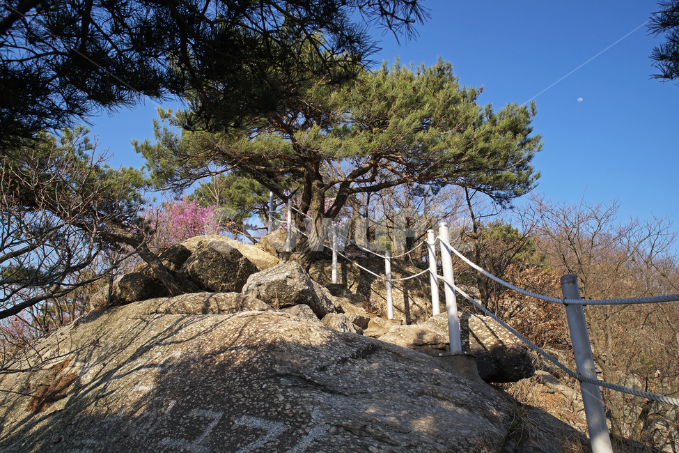모락산,경기도,의왕시,등산로,등산,진달래,바위,자연