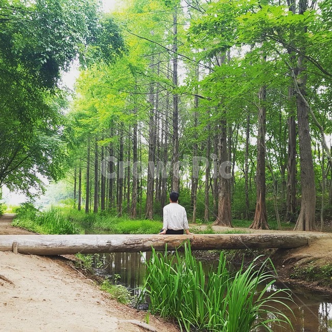 경주,자연,여행,혼행,나무,사람,인물,인간,human,person,남성,남자,man,male,휴식,힐링,rest,relaxation,healing