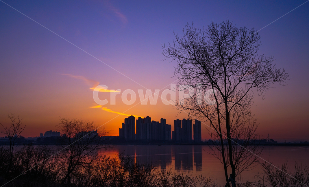 호수,여명,새벽,나무,건물,풍경,겨울,계절,감성,도시,풍경,city,landscape,한국도시풍경,한국도시경관,korea cityscape,실루엣,그림자,silhouette,shadow,nature,자연,outdoors,옥외,dawn,red sky,붉은 하늘,dusk,황혼,sunset,일몰,sky,하늘