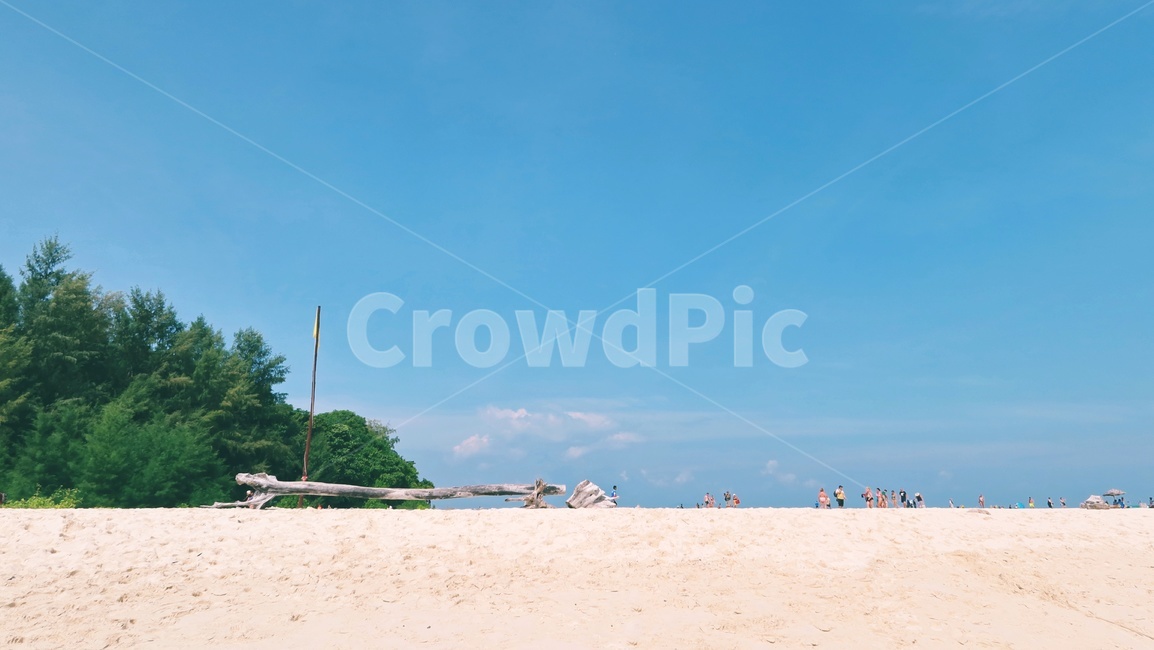 shoreline,해변,백사장,여름,풍경,자연,nature,sea,바다,하늘,푸른