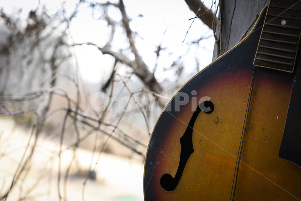 만돌린,창가,악기,mandolin,창,악기,음향기기,musical instrument,musical equipment