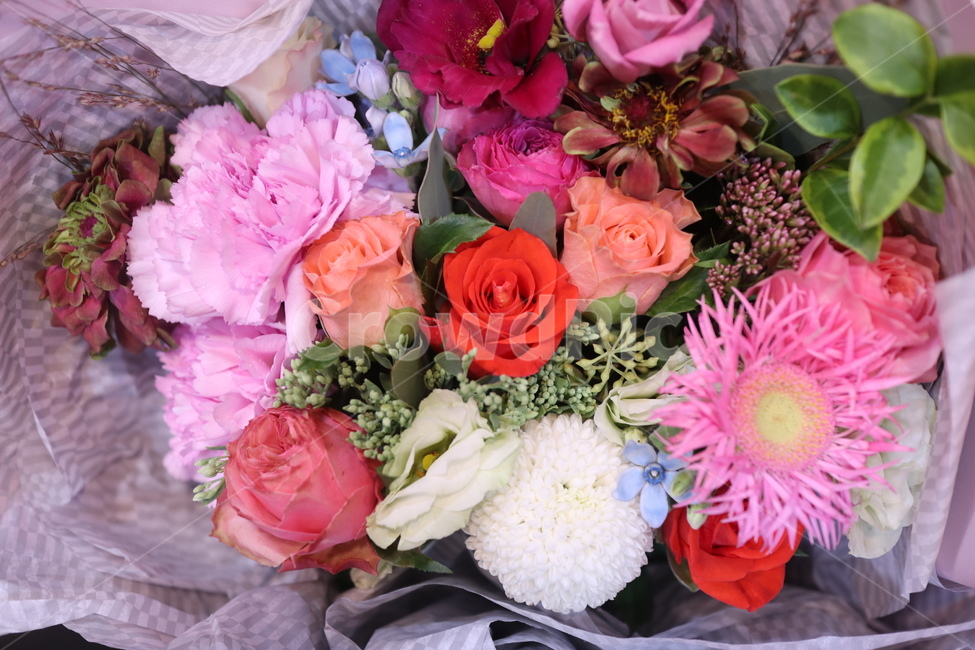 꽃,꽃다발,청혼,행복,화사한,좋은날,꽃,flower,기념일,축하,anniversary,congratulation,celebrate,celebration