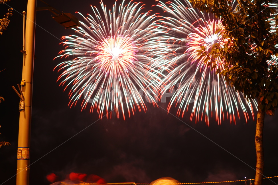 불꽃,야경,불꽃축제,풍경,축제