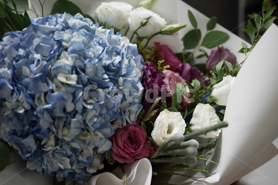 꽃,꽃다발,수국,장미,선물,여자친구,사랑,다발,플라워,flower,꽃,flower,기념일,축하,anniversary,congratulation,celebrate,celebration