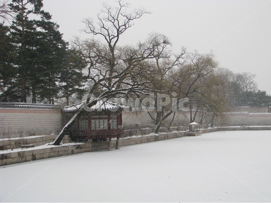 궁궐,경복궁,겨울,눈,호수,한국,대한민국,겨울,계절,winter,season,한국전통,한국문화,korean traditional,korean culture,랜드마크,landmark,tourist attraction,한국랜드마크,한국관광지,한국명소,korea landmark,korea tourist attraction,건축물,건물외관,exterior,building,structure,architecture,construction