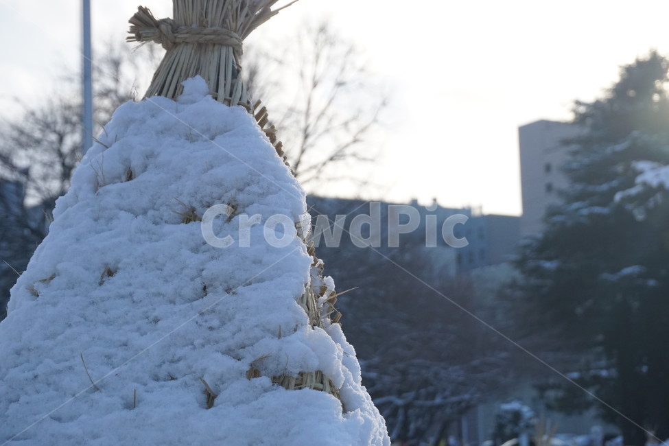 길거리,겨울,winter,눈,sapporo,삿포로,겨울분위기,snow,cold,추위,겨울,계절,winter,season