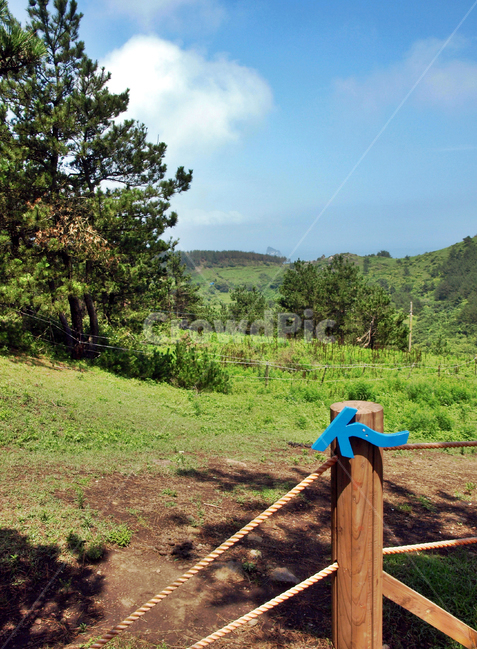 화살표식,송악산,올레10코스,올레,서귀포시,제주,정방향,제주도,jeju,jeju island