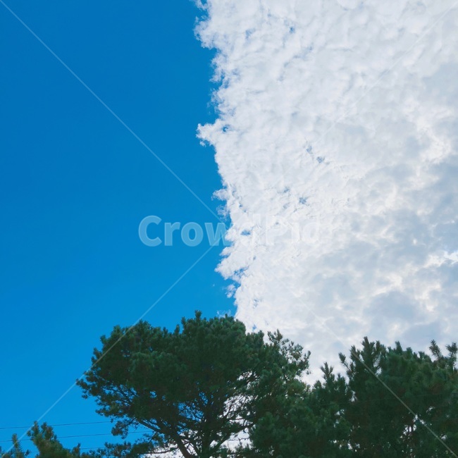 날씨,nature,자연,감성,풍경