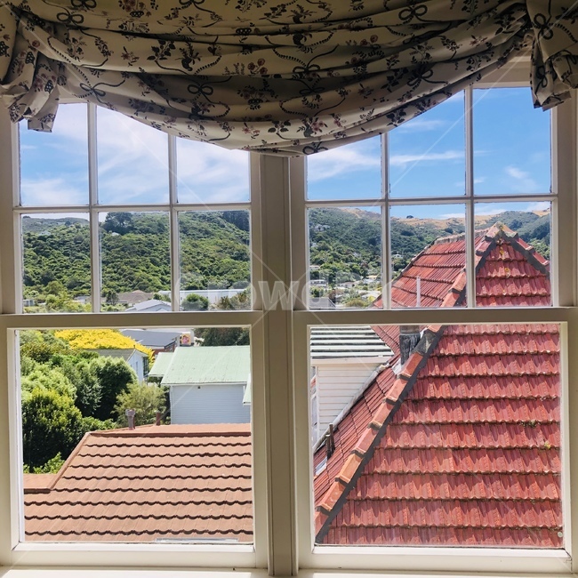 window,house,curtain,창문,집