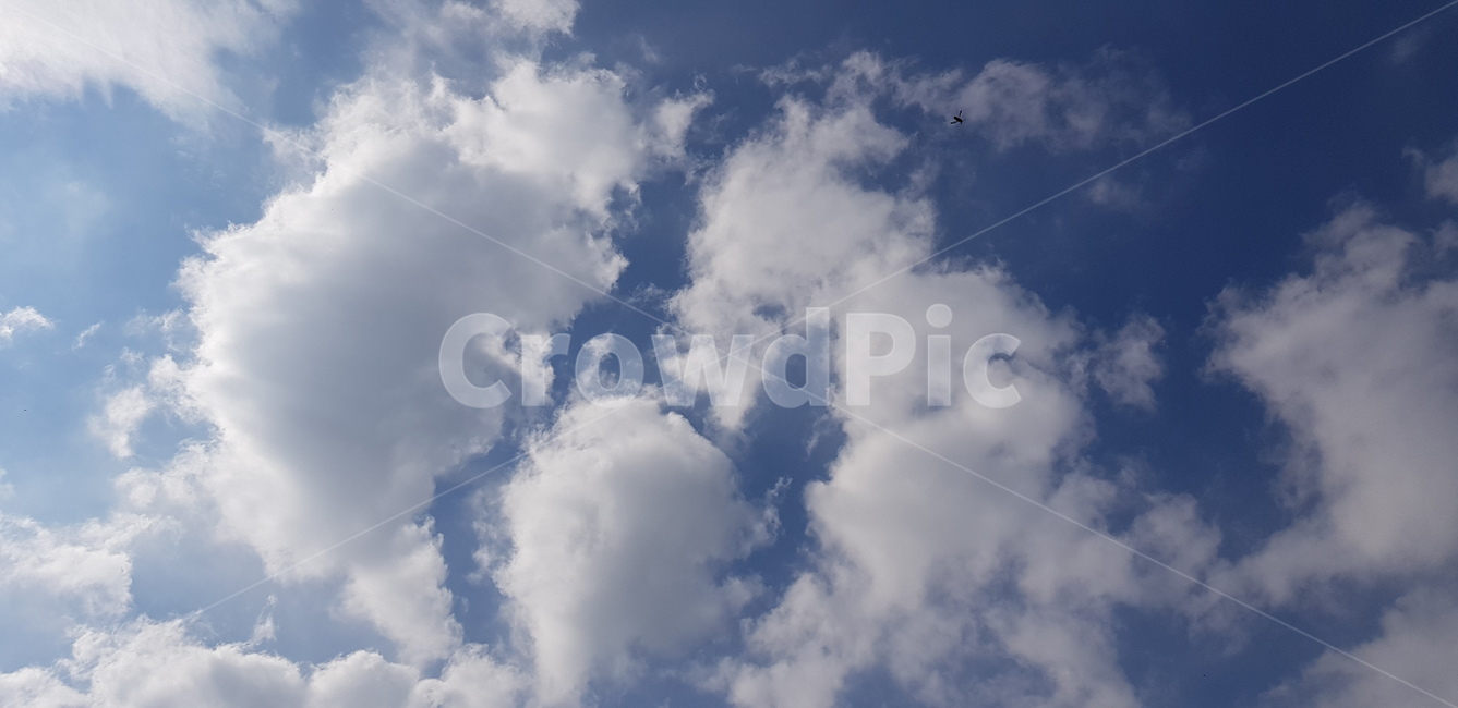 구름,파란하늘,하얀구름,뭉게구름,특이한구름,파란,하얀,special,cloud,sky,bluesky