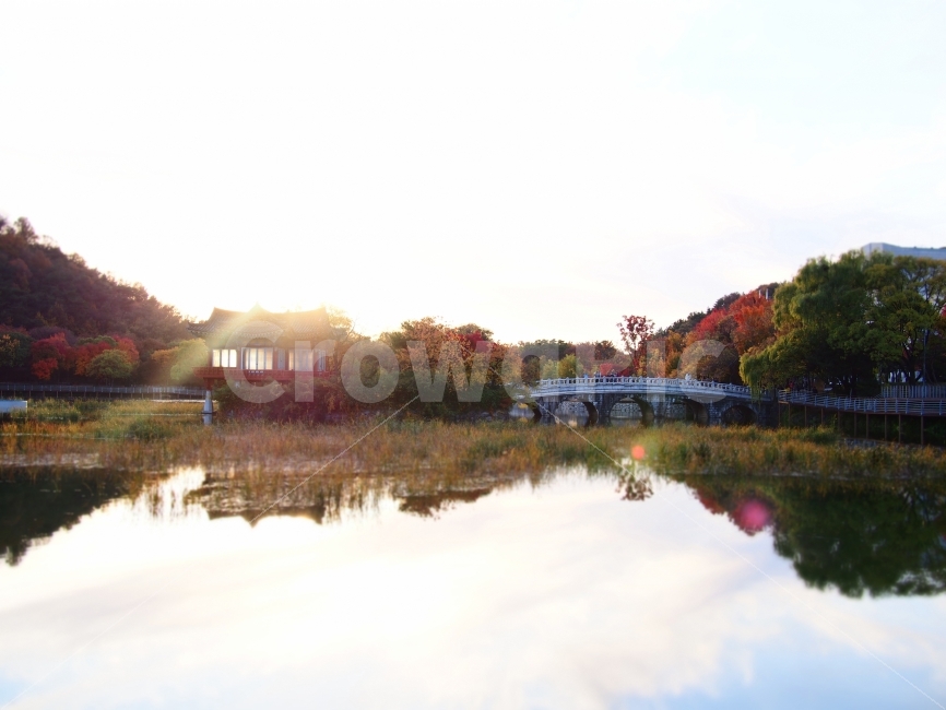 성당못,단풍,연못,울긋불긋,물그림자,가을,계절,fall,autumn,season,자연,풍경,nature,landscape,한국자연풍경,한국자연경관,korea nature landscape,한국전통,한국문화,korean traditional,korean culture,water,물,building,건물,architecture,건축물,castle,성,outdoors,옥외