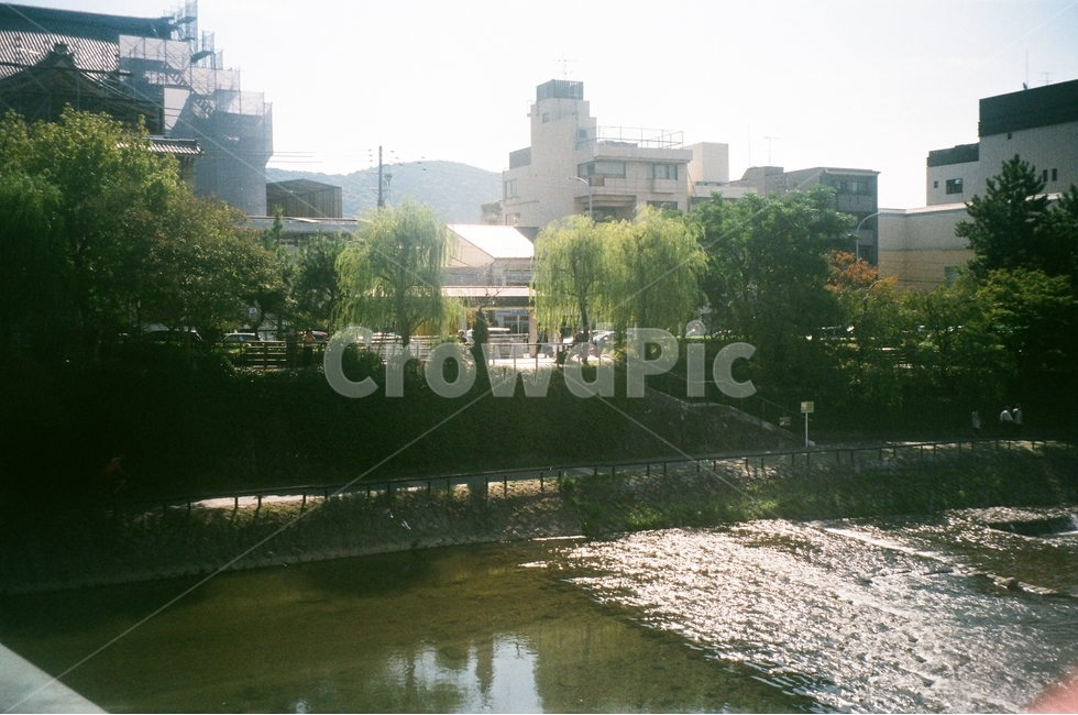 일본,교토,강,버드나무,필름사진,시골,마을,풍경,landscape,country,rural,town,해외,외국,세계,foreign,oversea,world