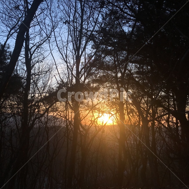 산,나무,일몰,해,숲,자연,배경