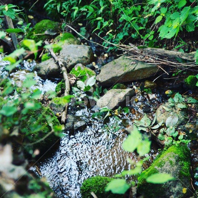 자연,녹색,풍경,물,상쾌함,힐링,휴식,흐르는물,아름다움,자연,풍경,nature,landscape