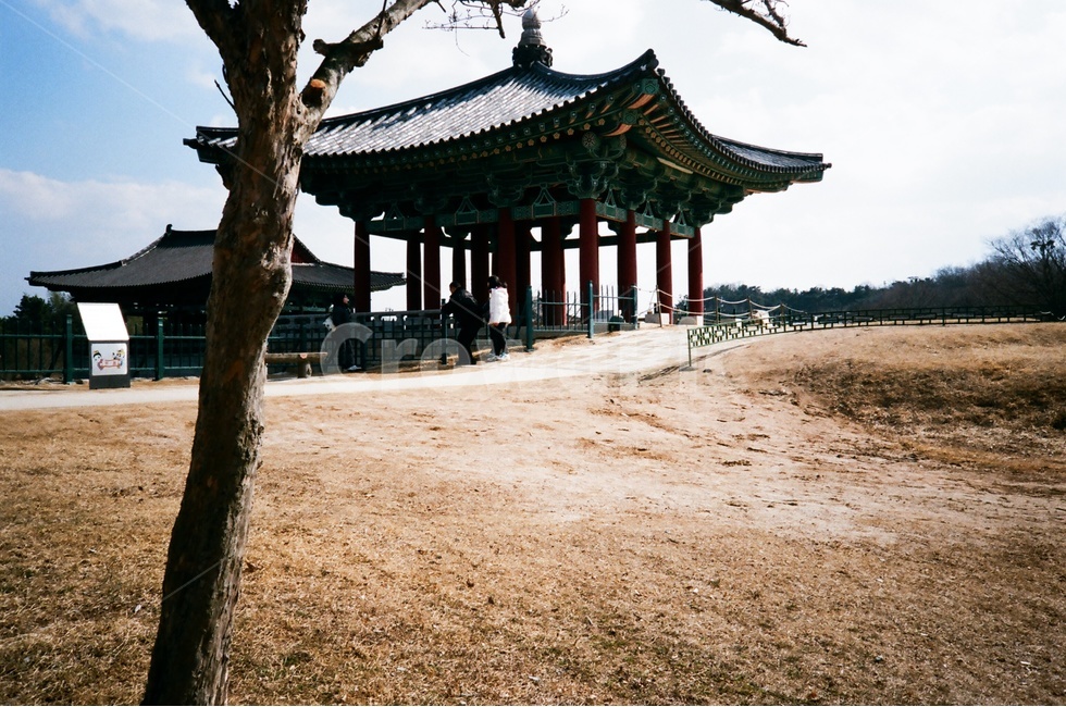 경주,안압지,월지,궁궐,정원,전통건축,유적지,관광지,유물,수학여행,단체여행,가족여행,여행지,야경,필름사진,저수지,석축,연못,천년고도,신라,한국전통,한국문화,korean traditional,korean culture,랜드마크,landmark,tourist attraction,한국랜드마크,한국관광지,한국명소,korea landmark,korea tourist attraction
