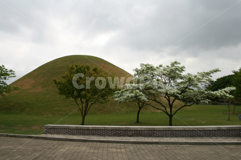 천마총,오릉,한국,경주,왕무덤,전통,왕,한국전통,한국문화,korean traditional,korean culture,랜드마크,landmark,tourist attraction,한국랜드마크,한국관광지,한국명소,korea landmark,korea tourist attraction