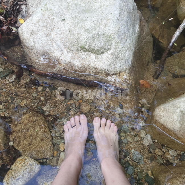 계곡,자연,발,바위,물,깨끗한,맑은,water,rock,단단한,clear,pure,foot,valley,nature,나뭇가지,twig,hard