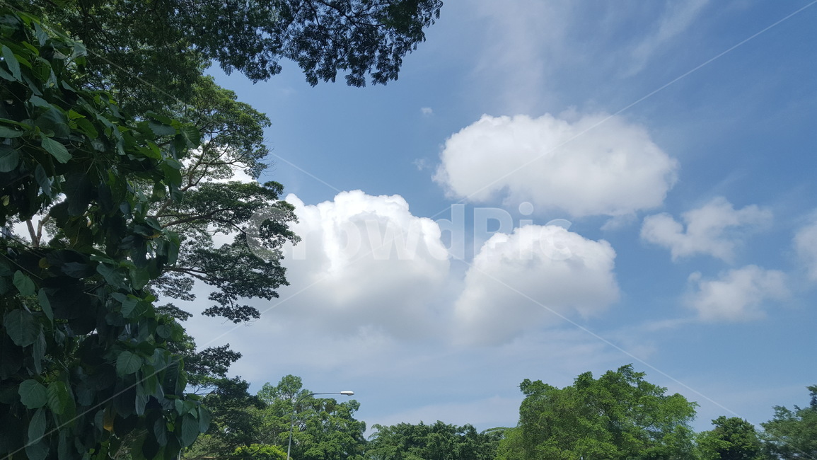 oversea,world,해외,외국,풍경,landscape,봄,spring,계절,season,나무,tree,sky,하늘