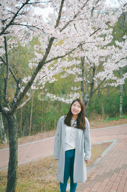 여자,벚꽃,봄,flower,cheeryblossom,blossom,portrait,봄,계절,spring,season,사람,인물,인간,human,person,여성,여자,woman,female,lady,sleeve,소매,long sleeve,긴팔