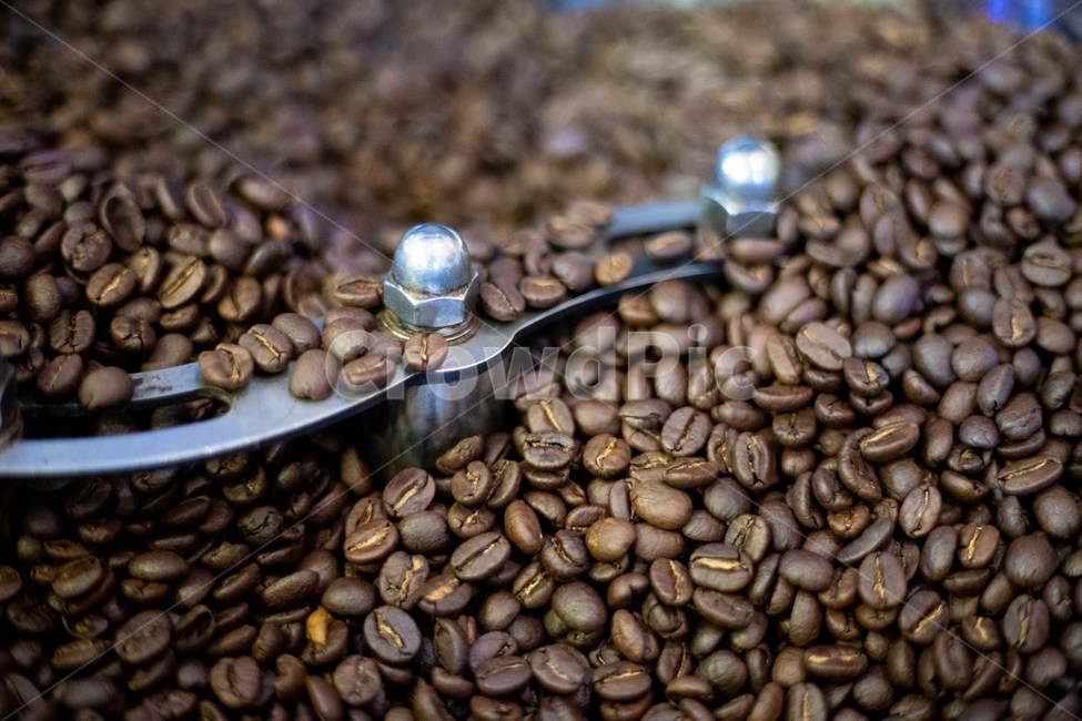 커피,원두,커피콩,커피원두,로스팅,카페,coffee,coffeebean
