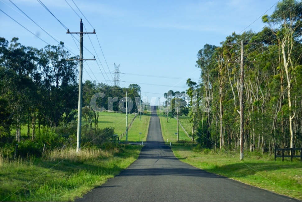 봄,spring,자연,nature,나무,tree,호주,australia,도로,road,자연,풍경,nature,landscape