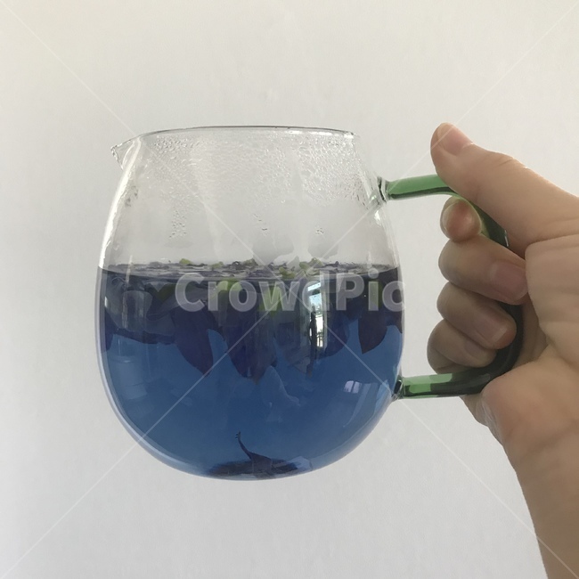 도라지꽃차,꽃차,유리주전자,도라지꽃,티포트,teaport