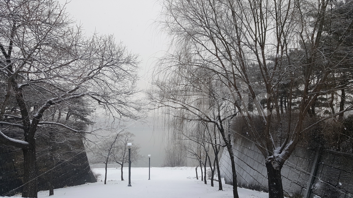 한강,눈,눈길,한강눈,한강어구,자연,풍경,nature,landscape,겨울,계절,winter,season,outdoors,옥외,snow,storm,폭풍,blizzard,눈보라