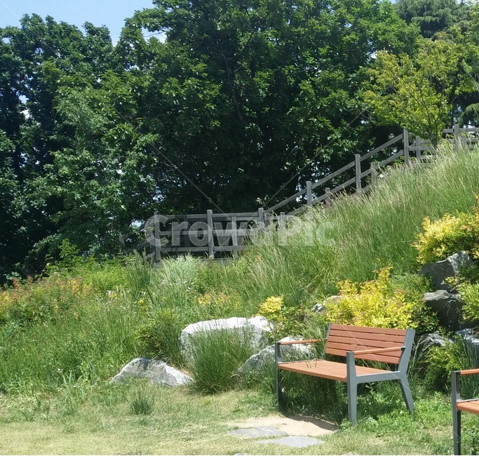 Citizens Park,Bench,green,yellow flower,roost,park,summer