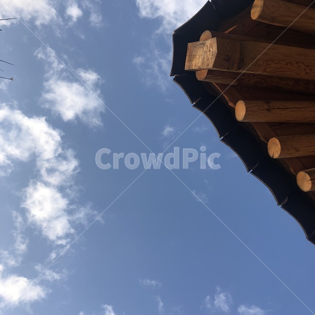 하늘,가을,구름,나무가지,감,나무,가을하늘,겨울하늘,풍경,sky,cloud,tree,한국전통,한국문화,korean traditional,korean culture
