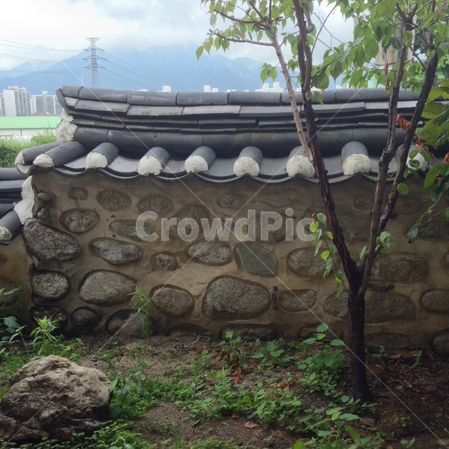 기와,담,풍경,한국풍경,옛스러움,한국전통,한국문화,korean traditional,korean culture,식물,자연,plants,nature,나무,trees,wood,건축물,건물외관,exterior,building,structure,architecture,construction