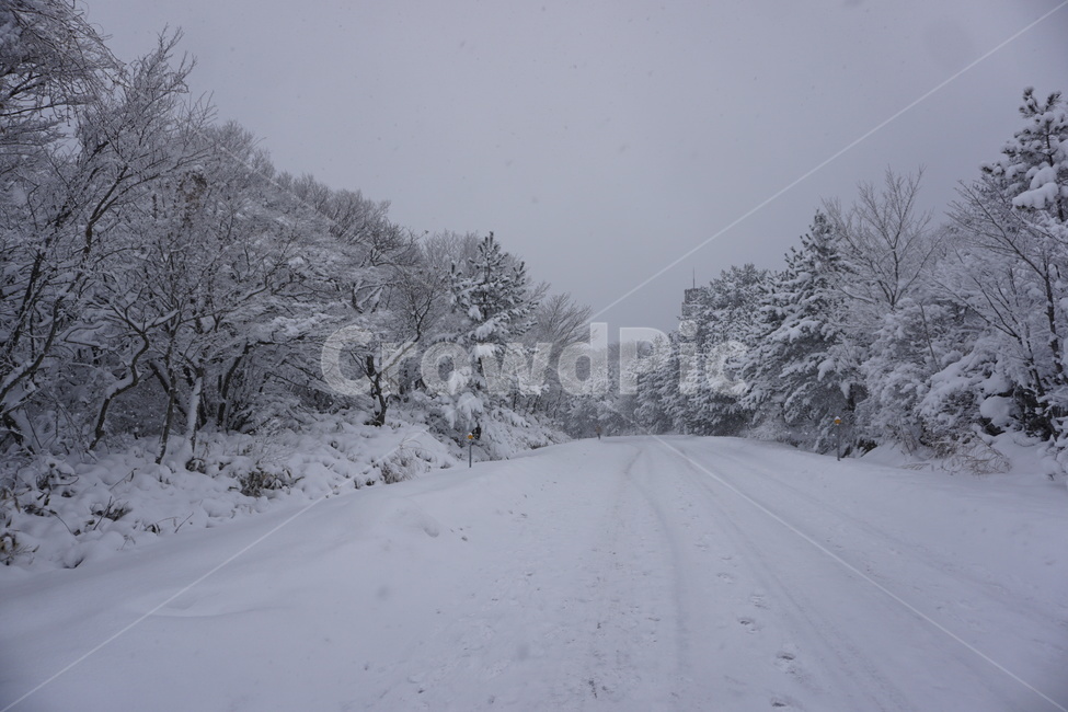 설산,한라산설산,한라산영실코스,hallasanmountain,snowmountain,겨울,계절,winter,season