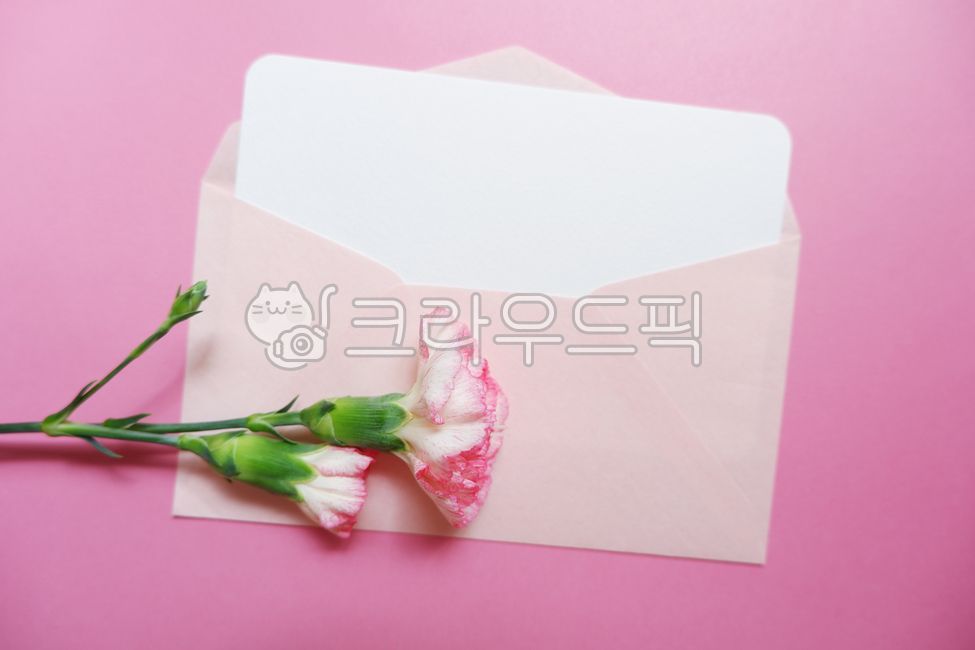 카네이션,봄,카네이션꽃,꽃,꽃배경,카네이션배경,핑크,핑크배경,편지,편지지,어버이날,분홍카네이션,어버이날배경,핑크카네이션,어버이날편지,스승의날,스승의날배경,감사편지,carnetaion,flower,letter,paper,pink,pinkbackground,floral,spring,카드,편지봉투