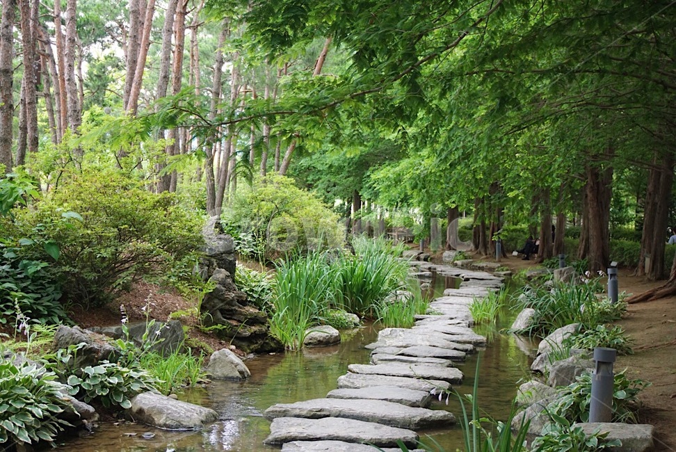 돌다리,풀숲,개울,숲속공원,공원,산책