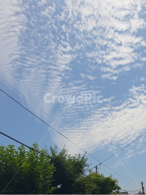 하늘,구름,나무,전봇대,시골,파랑,파랑색,하늘색,초록,telephonepole,thecountry,초록색,cloud,tree,sky,자연,풍경,nature,landscape,cable,케이블,power lines,전력선,electric transmission tower,송전탑