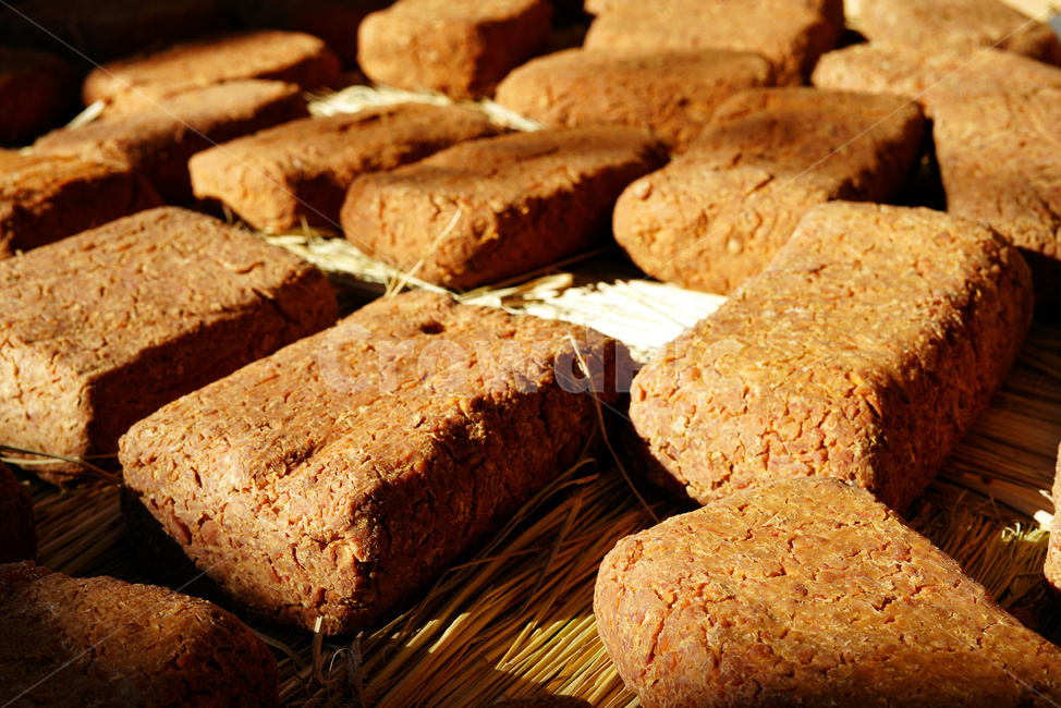 메주,된장,전통식품,발효식품,사각메주,음식,식재료,요리,food,cook,meal,dishes,food reserves,한식,한국음식,한국요리,korean food,korean dishes,korean meal,korean cook