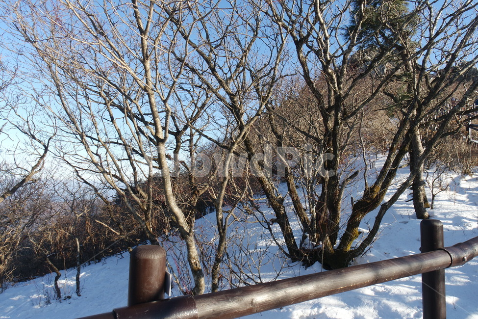 겨울,겨울산,겨울등산,설산,눈,winter,snow,겨울,계절,winter,season