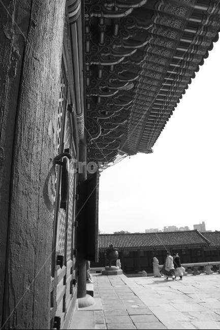 문고리,근정전,경복궁,흑백사진,풍경,한국전통,한국문화,korean traditional,korean culture,랜드마크,landmark,tourist attraction,한국랜드마크,한국관광지,한국명소,korea landmark,korea tourist attraction,흑백,모노톤,monochrome,black and white,건축물,건물외관,exterior,building,structure,architecture,construction