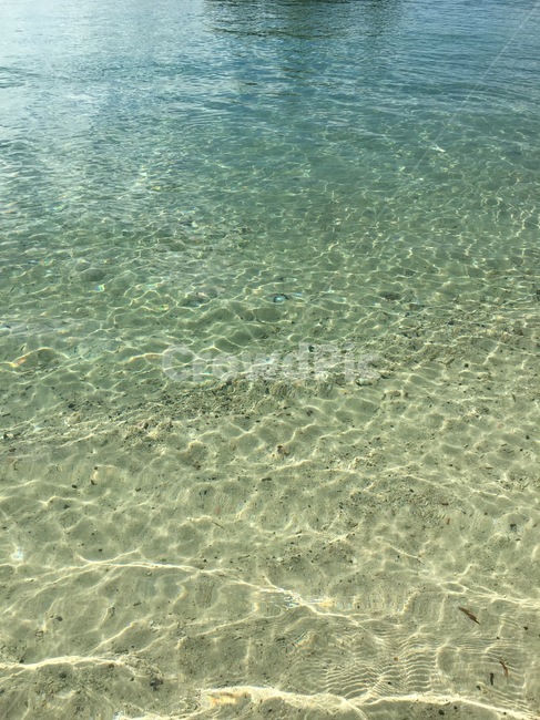 물,water,바다안,undersea,sea