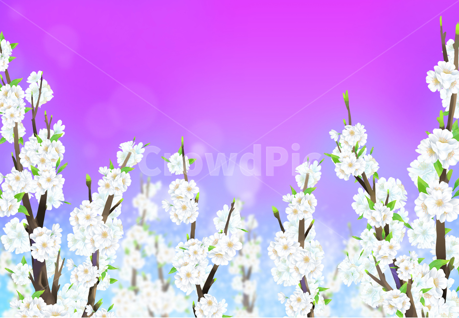 벚꽃,봄,나무,여름,하얀,꽃잎,잎,사쿠라,벚꽃일러스트,일러스트,꽃일러스트,체리,분기,시즌,4월,풍경,아름다운,아름다움,꽃이만발한,식물학,꽃봉오리,장식,디자인,꽃,신선한,정원,원예,일본,동양식물,낭만,환경,꽃정원,매크로,자연,식물,계절,꽃놀이,벚꽃구경,벚꽃축제,만발,만발한,흐드러진,컨셉,벚꽃세상,벚꽃놀이,꽃풍경,자연경치,설렘,예쁜,배경,따스한배경,컬러,cherryblossom,spring,cherry,blossom,nature,flower,tree,background,beautiful,white,season,bloom,plant,beauty,natural,petal,fresh,flora,botany,april,blossoming,springtime,flowers,landscape,cherryillustration,illustration,flowerillustration,color,gardening,orientalplants,romantic,plants,macro,seasons,cherryblossomviewing,cherryblossomworld,flowerscenery,naturalscenery,flutter,pretty,warmbackground,japaneseflower,보라,보라색,그러데이션,핑크,분홍색,화사한,보랏빛,불빛,네온,gradation,pink,bright,purple,light,neon