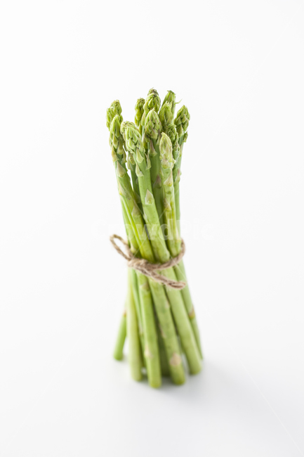 아스파라거스,asparagus,아스파라거스누끼,누끼,채소,plant,식물,vegetable,야채,food,식품,채소,야채,vegetables,연출,컨셉,콘셉,direction,concept