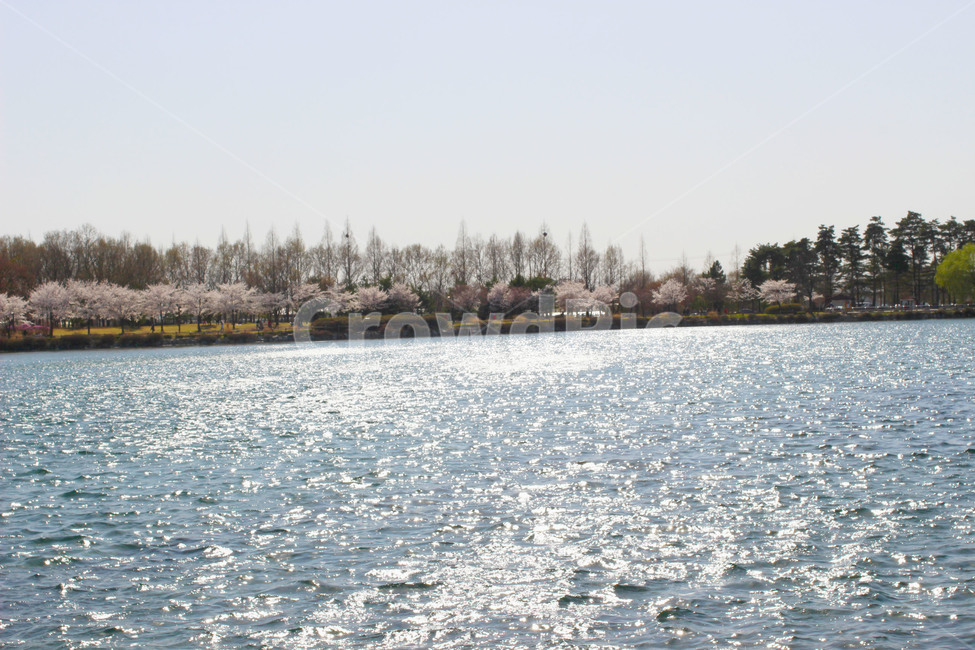 호수,일산호수공원,lake,lakepark,잔잔함,자연,물,자연,풍경,nature,landscape,transportation,교통,watercraft,선박,vehicle,차량