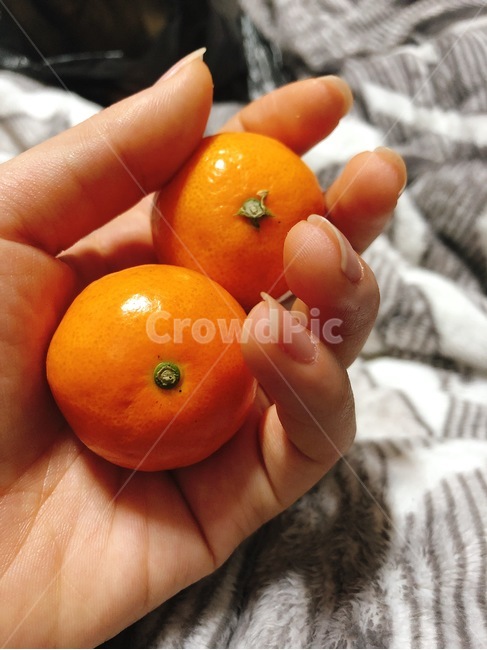 귤,작은귤,미니귤,금귤,낑깡,음식,식재료,요리,food,cook,meal,dishes,food reserves,과일,열매,fruit
