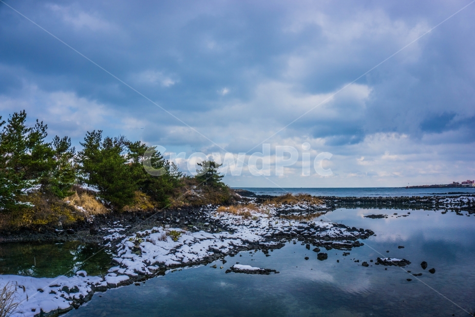 제주도,제주,바다,겨울바다,눈,설경,하늘,자연,나무,해안,겨울,계절,winter,season,자연,풍경,nature,landscape,한국자연풍경,한국자연경관,korea nature landscape,제주도,jeju,jeju island,outdoors,옥외,land,땅,water,물
