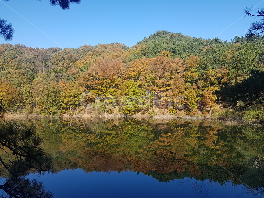 water,물,outdoor,한국풍경,가을,자연,풍경,nature,landscape