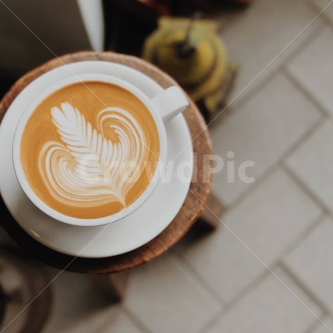 따뜻한,로제타,아침햇살,모닝커피,여유한잔,커피,카페,coffee,cafe,감성,sensible,feeling