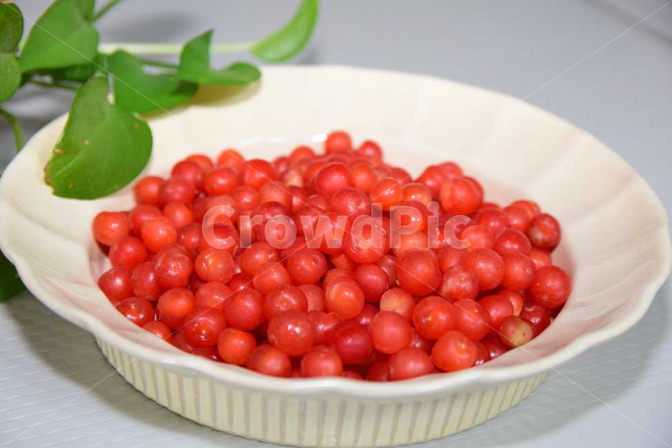보리수,보리수열매,접시,빨간열매,열매,시콤달콤,fruits,redfruits,음식,식재료,요리,food,cook,meal,dishes,food reserves,과일,열매,fruit