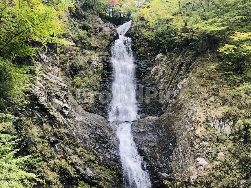 water,물,nature,자연,outdoors,폭포,waterfall,강,river,옥외,자연,풍경,nature,landscape
