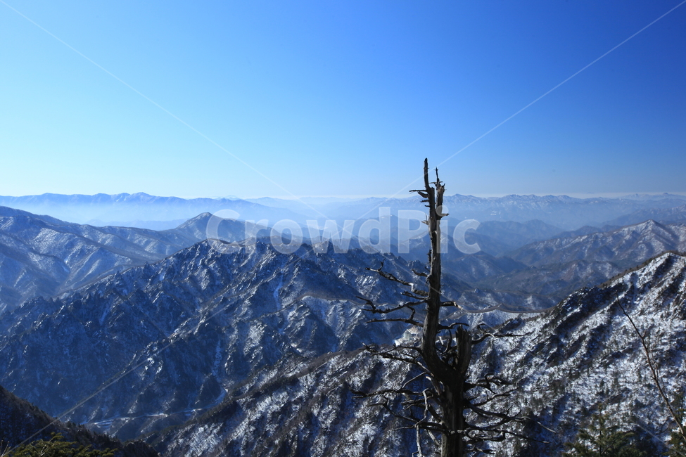설악산,겨울산행,파란하늘,대청봉,능선,겨울나무,설원,등산,겨울,계절,winter,season,자연,풍경,nature,landscape,mountain range,산맥,outdoors,옥외,mountain,산